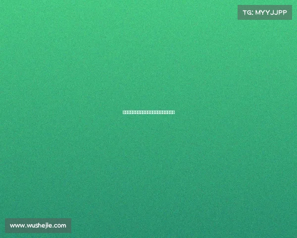 未来之星:与新狼兵贾博琰和梁少文的深入对话